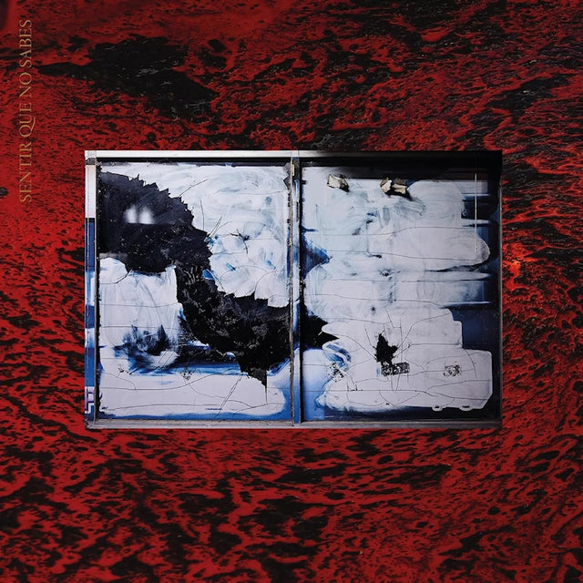Amery - Continue as amery (LP) - Velvet Music