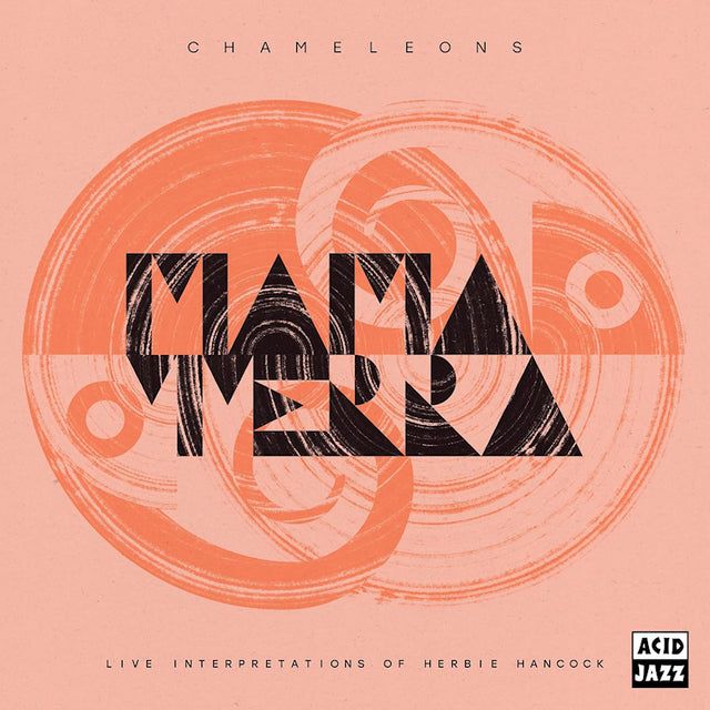 Mama Terra - Chameleons (LP) - Velvet Music