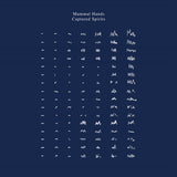 Mammal Hands - Captured spirits (LP) - Velvet Music