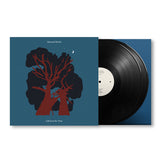 Mammal Hands - Gift from the trees (LP) - Velvet Music
