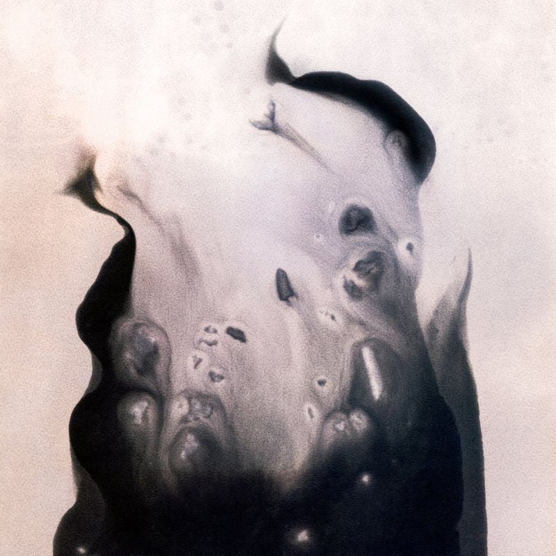 Marla Hansen - Salt (LP) - Velvet Music