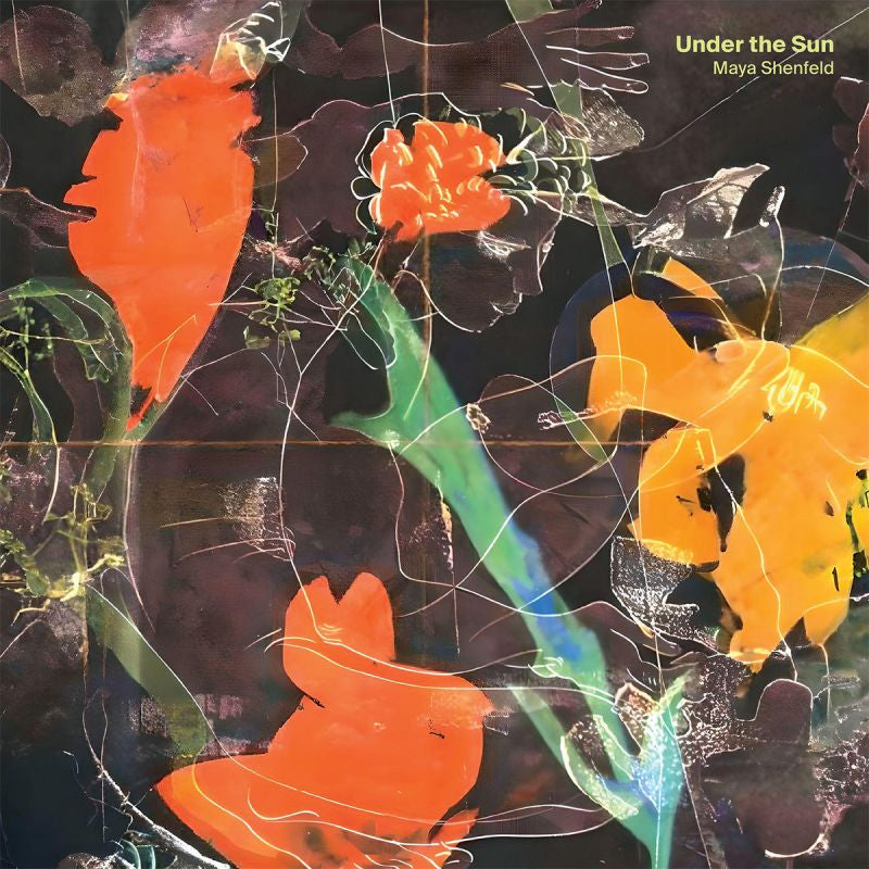 Maya Shenfeld - Under the sun (CD) - Velvet Music