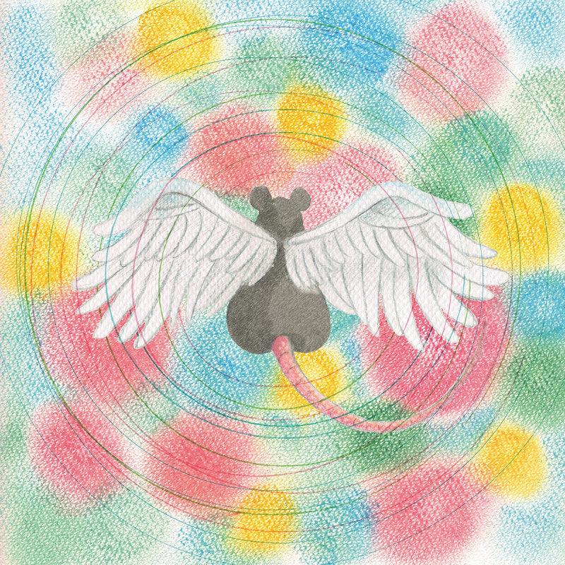 Mei Semones - Animaru (CD) - Velvet Music