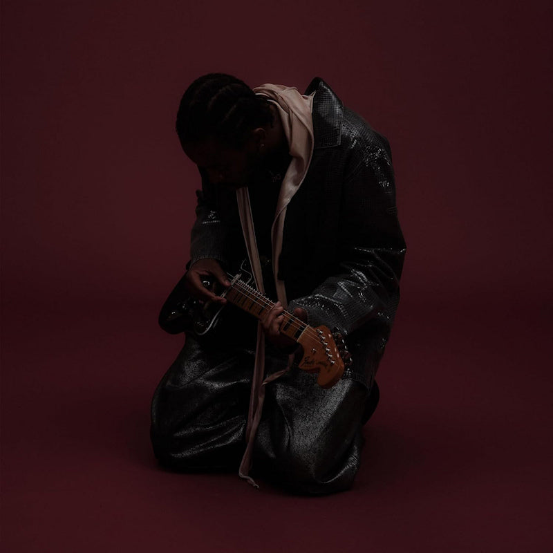 Montell Fish - Charlotte (LP) - Velvet Music