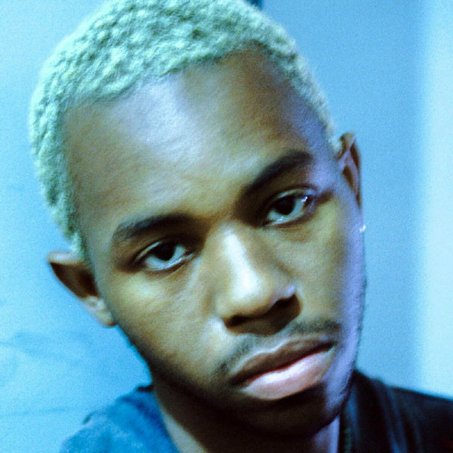Montell Fish - Jamie (LP) - Velvet Music