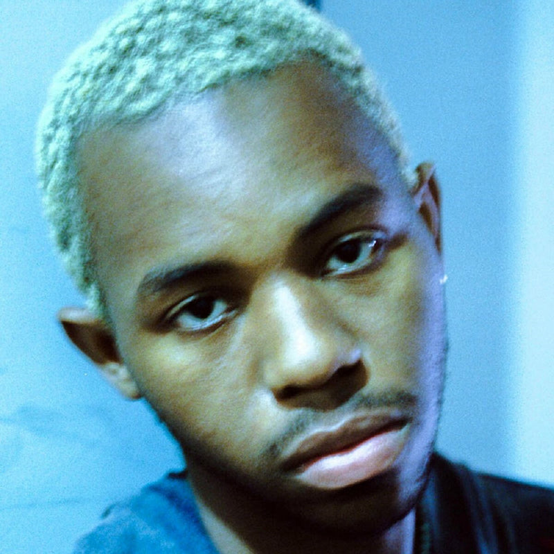 Montell Fish - Jamie (LP) - Velvet Music