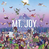 Mt. Joy - Rearrange us (LP) - Velvet Music