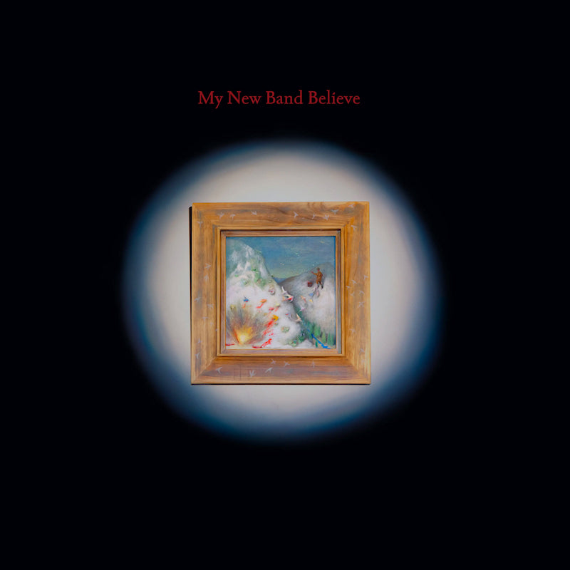 My New Band Believe - My new band believe (LP) - Velvet Music
