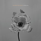 Naked And Famous - In rolling waves (CD)