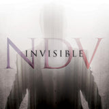 Nick D'virgilio - Invisible (CD)