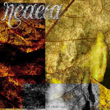 Neaera - Rising tide of oblivion (LP) - Velvet Music