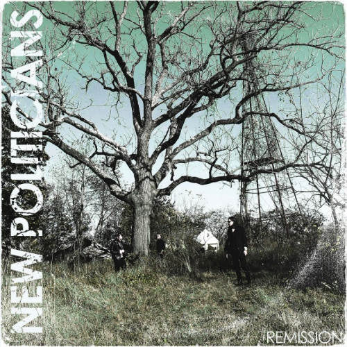 New Politicians - Remission (CD) - Velvet Music