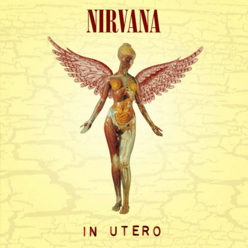 Nirvana - In utero (LP) - Velvet Music