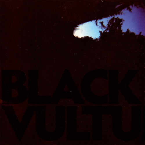 Daniel Norgren - Black vultures (LP) - Velvet Music