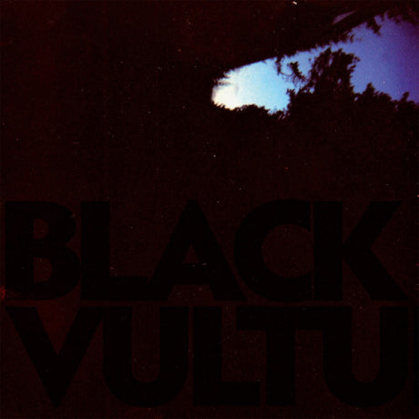 Daniel Norgren - Black vultures (LP) - Velvet Music