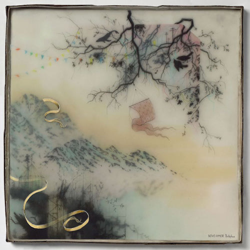 Novo Amor - Birthplace (LP) - Velvet Music