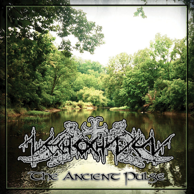 Nechochwen - Ancient pulse (CD) - Velvet Music
