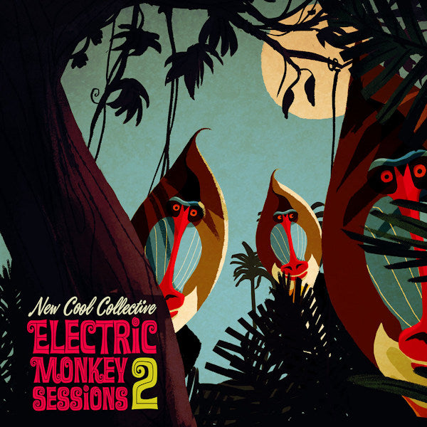 New Cool Collective - Electric monkey sessions 2 (CD) - Velvet Music