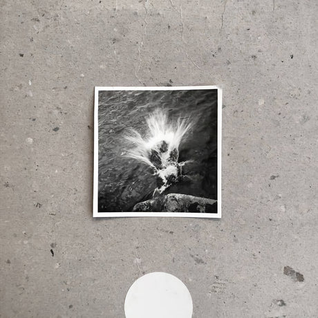 Nils Frahm - Empty (CD)