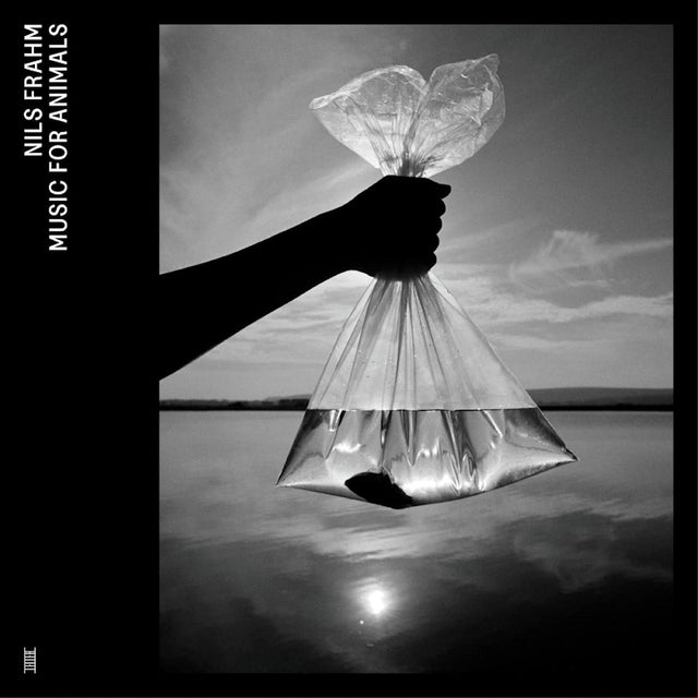 Nils Frahm - Music for animals (CD) - Velvet Music