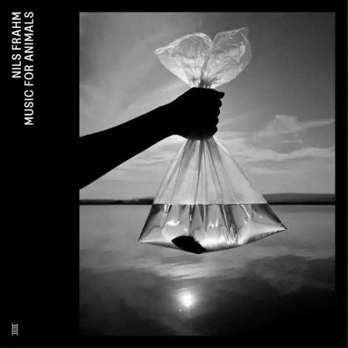 Nils Frahm - Music for animals (CD) - Velvet Music