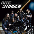 Nite Stinger - What the nite is all about (CD) - Velvet Music
