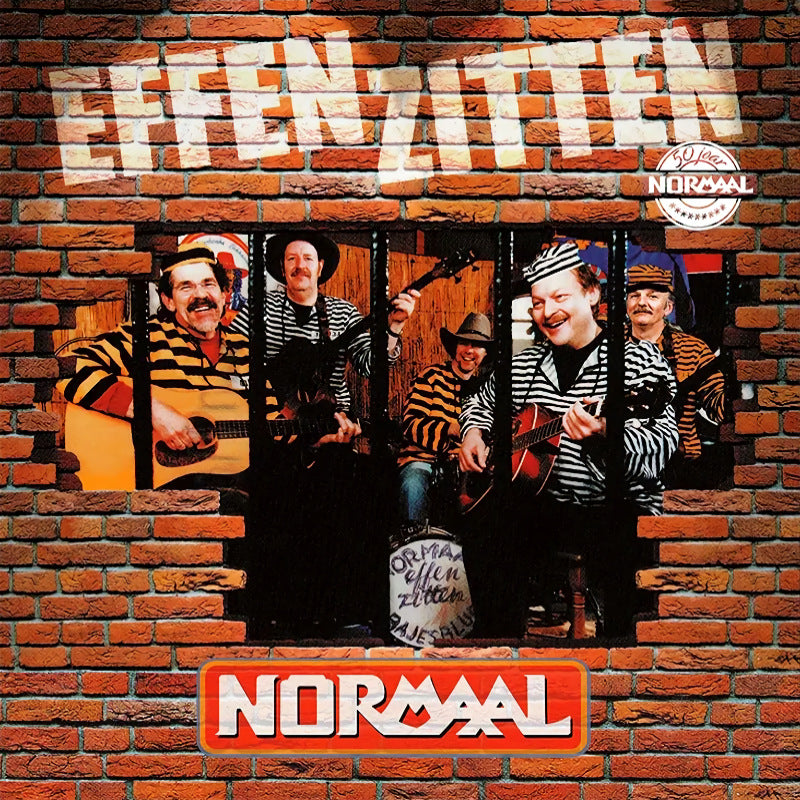 Normaal - Effen zitten (LP)