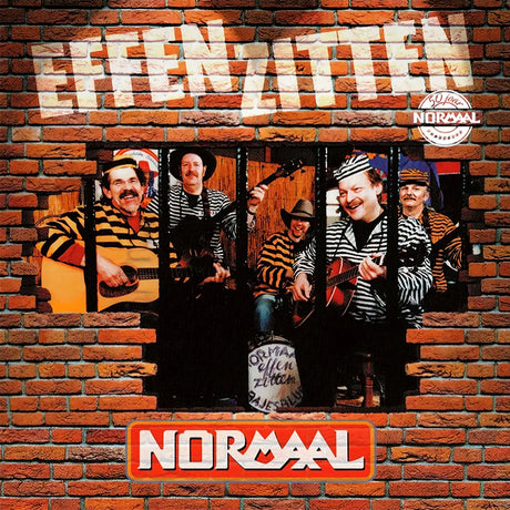 Normaal - Effen zitten (LP)