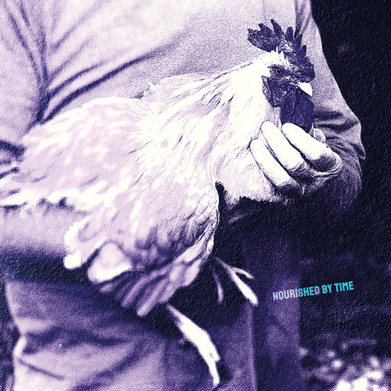 Nourished By Time - Catching chickens (12-inch maxi-single)
