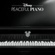 Unknown Artist - Disney Peaceful Piano (LP) - Velvet Music