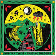 Nubiyan Twist - Chasing shadows (CD) - Velvet Music