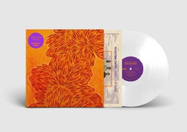 Nubiyan Twist - Find your flame (LP) - Velvet Music