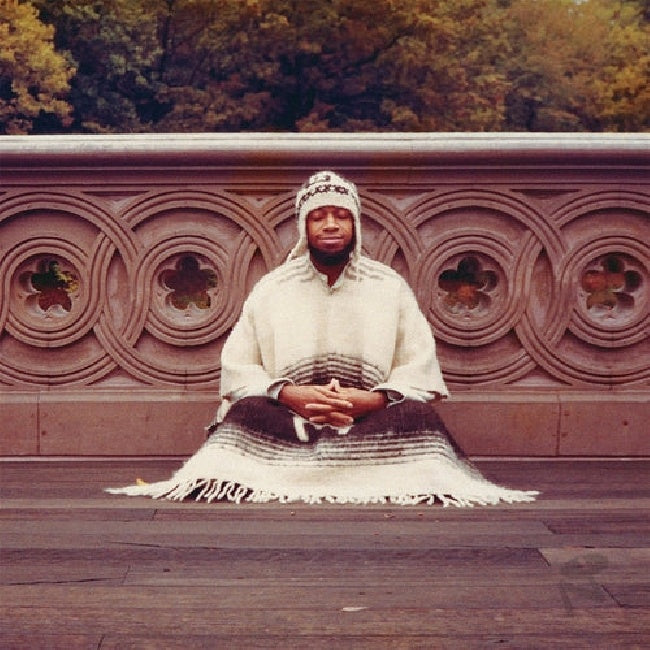 Laraaji & Sun Araw - Segue to infinity (box / colorriffic wow) (LP)