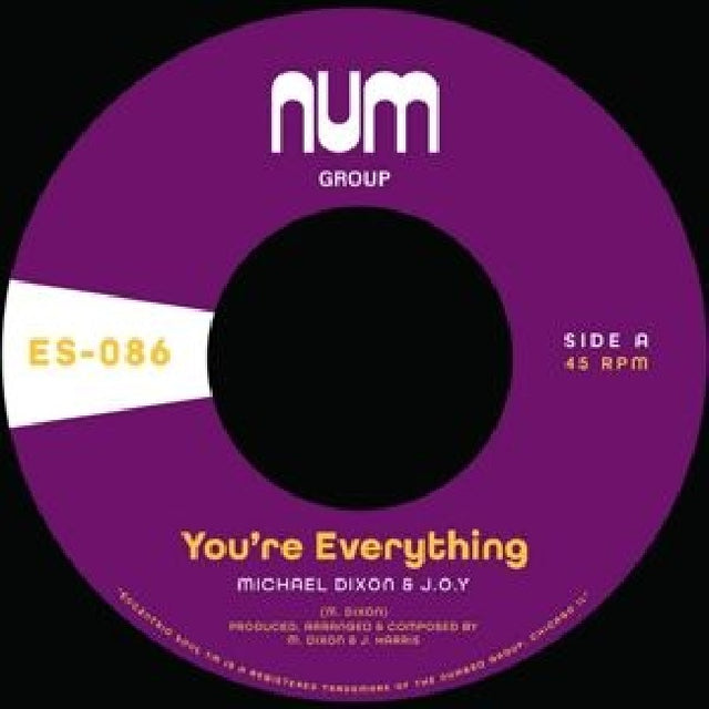 Michael A. Dixon & J.o.y. - You're everything (12-inch maxi-single) - Velvet Music