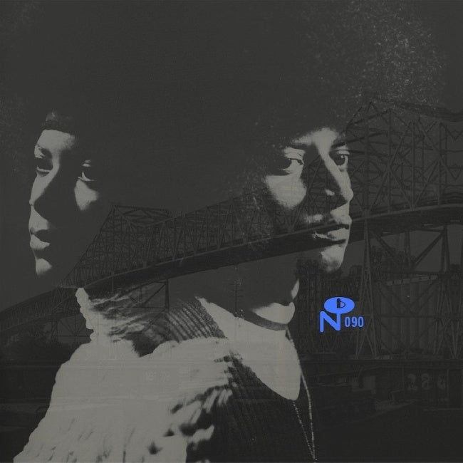 Various - Skyway soul: gary, indiana (LP)