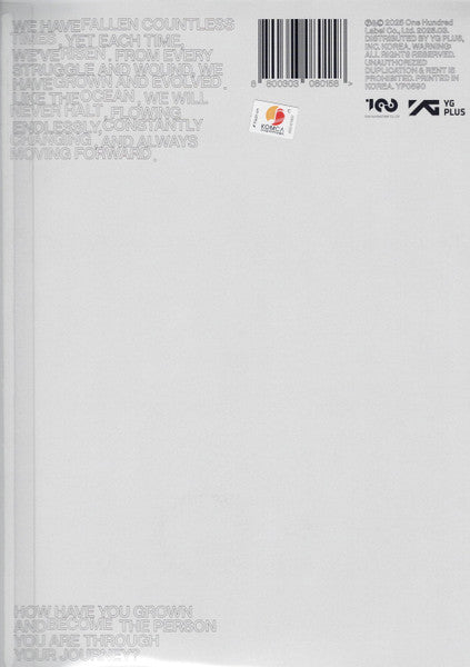 Boyz (15), The - Unexpected (CD) - Velvet Music