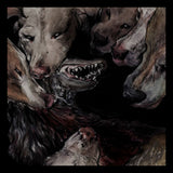 Okkultokrati - Night jerks (LP) - Velvet Music