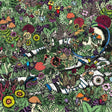 Oozing Wound - Whatever forever (CD) - Velvet Music
