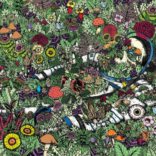 Oozing Wound - Whatever forever (CD) - Velvet Music