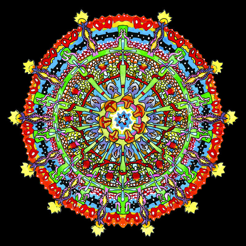 Of Montreal - Hissing fauna, are you the destroyer? (LP) - Velvet Music