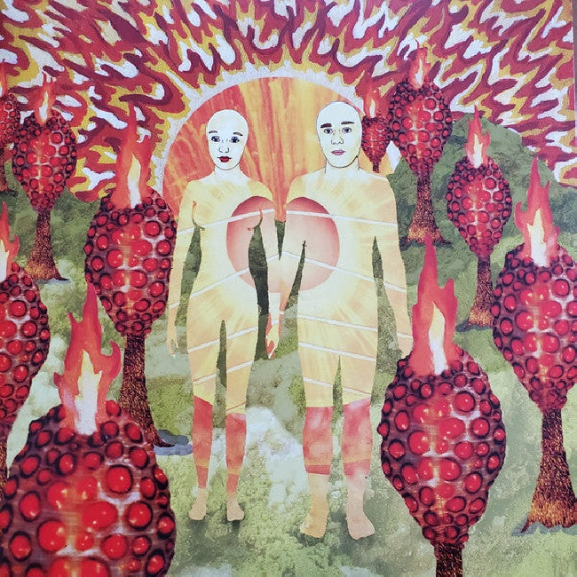Of Montreal - Sunlandic twins (LP)