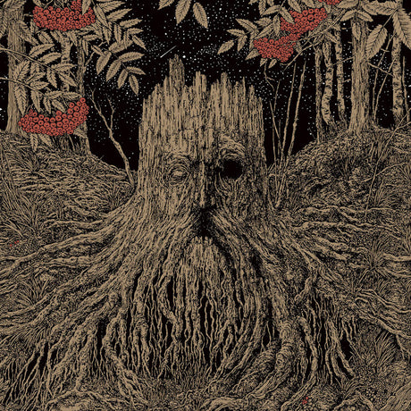 Olhava - Sacrifice (LP) - Velvet Music