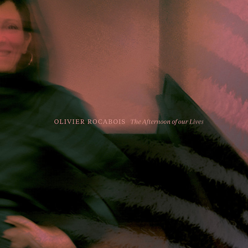 Olivier Rocabois - The afternoon of our lives (LP) - Velvet Music