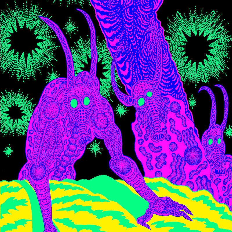 Osees - Abomination revealed at last (LP)