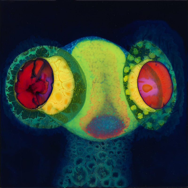Osees - Sorcs 80 (CD) - Velvet Music