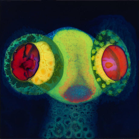 Osees - Sorcs 80 (CD) - Velvet Music