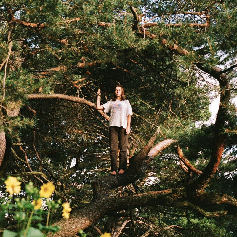PACKS - Melt the honey (LP)