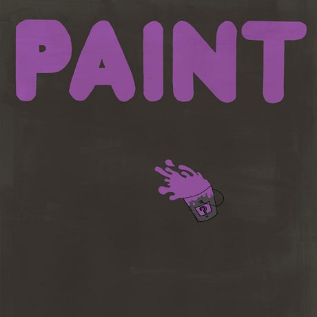 Paint - Paint (LP) - Velvet Music