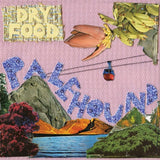 Palehound - Dry food (LP)