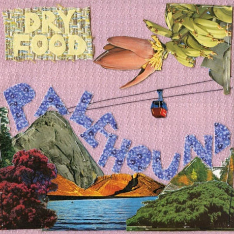 Palehound - Dry food (CD) - Velvet Music